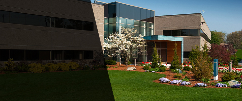 Sierra Madre Landscapers