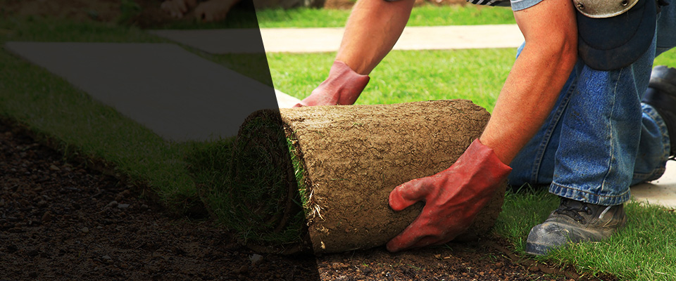 Sierra Madre Landscapers